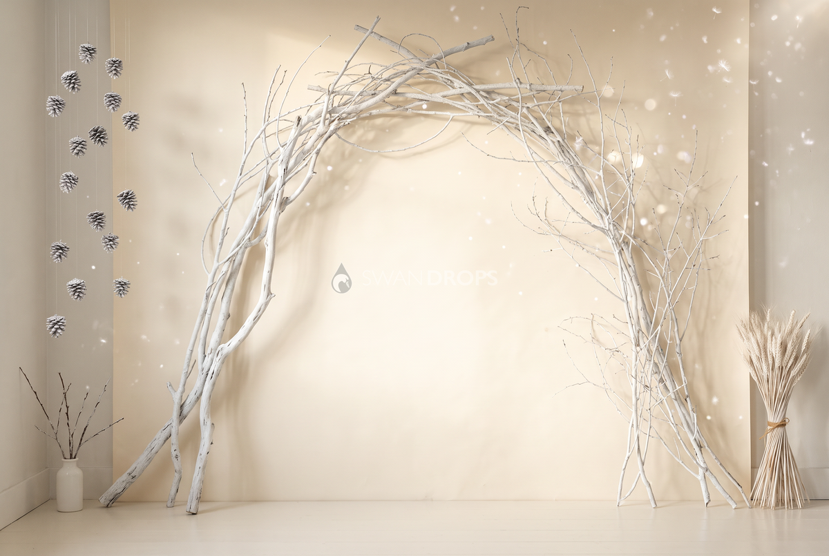 Fond photo Souffle cristallin de la collection Arches Noël 2026 - ivoire, blanc, branches givrées - séance grossesse Noël contemporaine