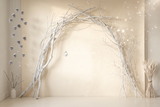Fond photo Souffle cristallin de la collection Arches Noël 2026 - ivoire, blanc, branches givrées - séance grossesse Noël contemporaine