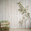 Fond photo Verger cagettes mousse gauche de la collection Printemps Champêtre 2026 - bois blanchi, branches fleuries, mousse - séance nouveau-né grossesse nature