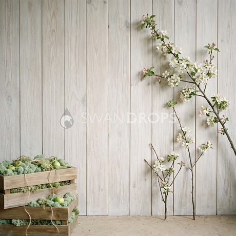 Fond photo Verger cagettes mousse gauche de la collection Printemps Champêtre 2026 - bois blanchi, branches fleuries, mousse - séance nouveau-né grossesse nature
