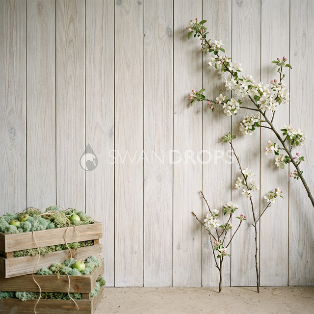 Fond photo Verger cagettes mousse gauche de la collection Printemps Champêtre 2026 - bois blanchi, branches fleuries, mousse - séance nouveau-né grossesse nature