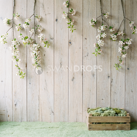 Fond photo Verger branches symétriques mousse sol de la collection Printemps Champêtre 2026 - bois brut, branches fleuries, mousse - séance grossesse nouveau-né