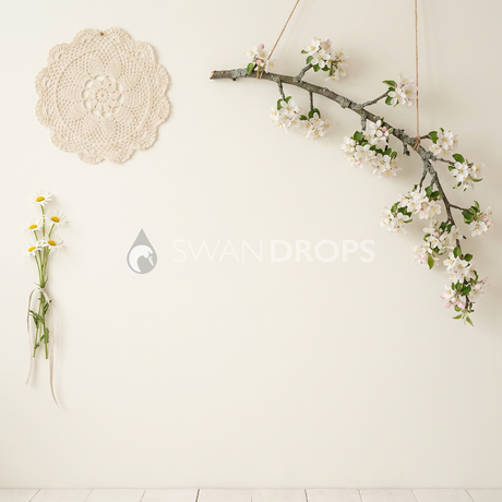 Fond photo Épure champêtre napperon branche de la collection Printemps Champêtre 2026 - crème, napperon, branche pommier fleurie - séance maternité