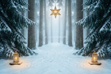 Fond photo Aube de sapin de la collection Noël 2026 extérieur - clairière symétrique, brume lumineuse, lanternes dorées - séance grossesse tenue longue