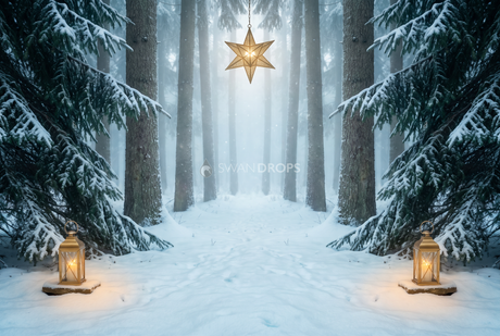 Fond photo Aube de sapin de la collection Noël 2026 extérieur - clairière symétrique, brume lumineuse, lanternes dorées - séance grossesse tenue longue