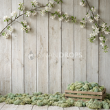Fond photo Verger branches haute mousse étendue de la collection Printemps Champêtre 2026 - bois blanchi, branches en hauteur, mousse sol - séance nouveau-né
